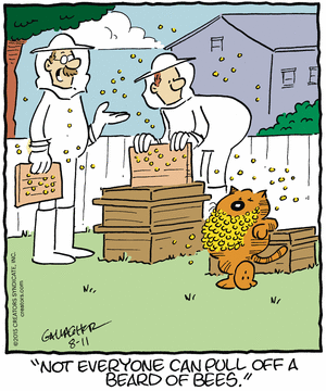 heathcliff